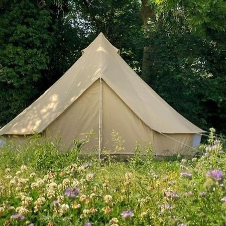 Готель 'T Schaaphof Tent En Ontbijt Дейнзе Екстер'єр фото