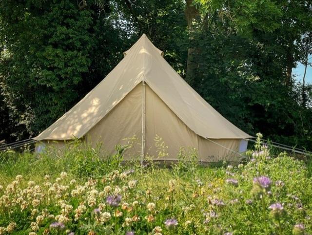 Готель 'T Schaaphof Tent En Ontbijt Дейнзе Екстер'єр фото