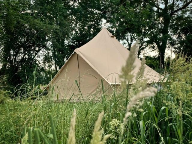 Готель 'T Schaaphof Tent En Ontbijt Дейнзе Екстер'єр фото